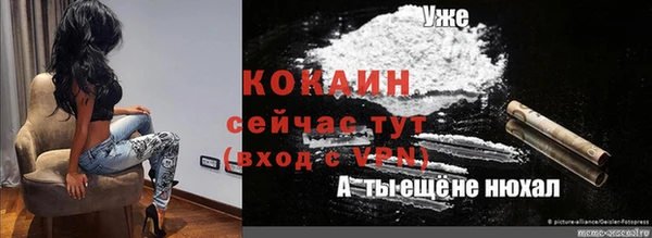 PSILOCYBIN Козельск