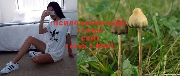 PSILOCYBIN Козельск