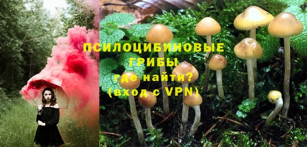 гашик Саяногорск