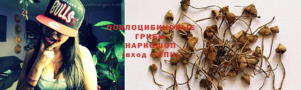 спиды Корсаков